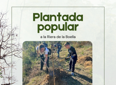 Plantada popular a la riera de la Boella